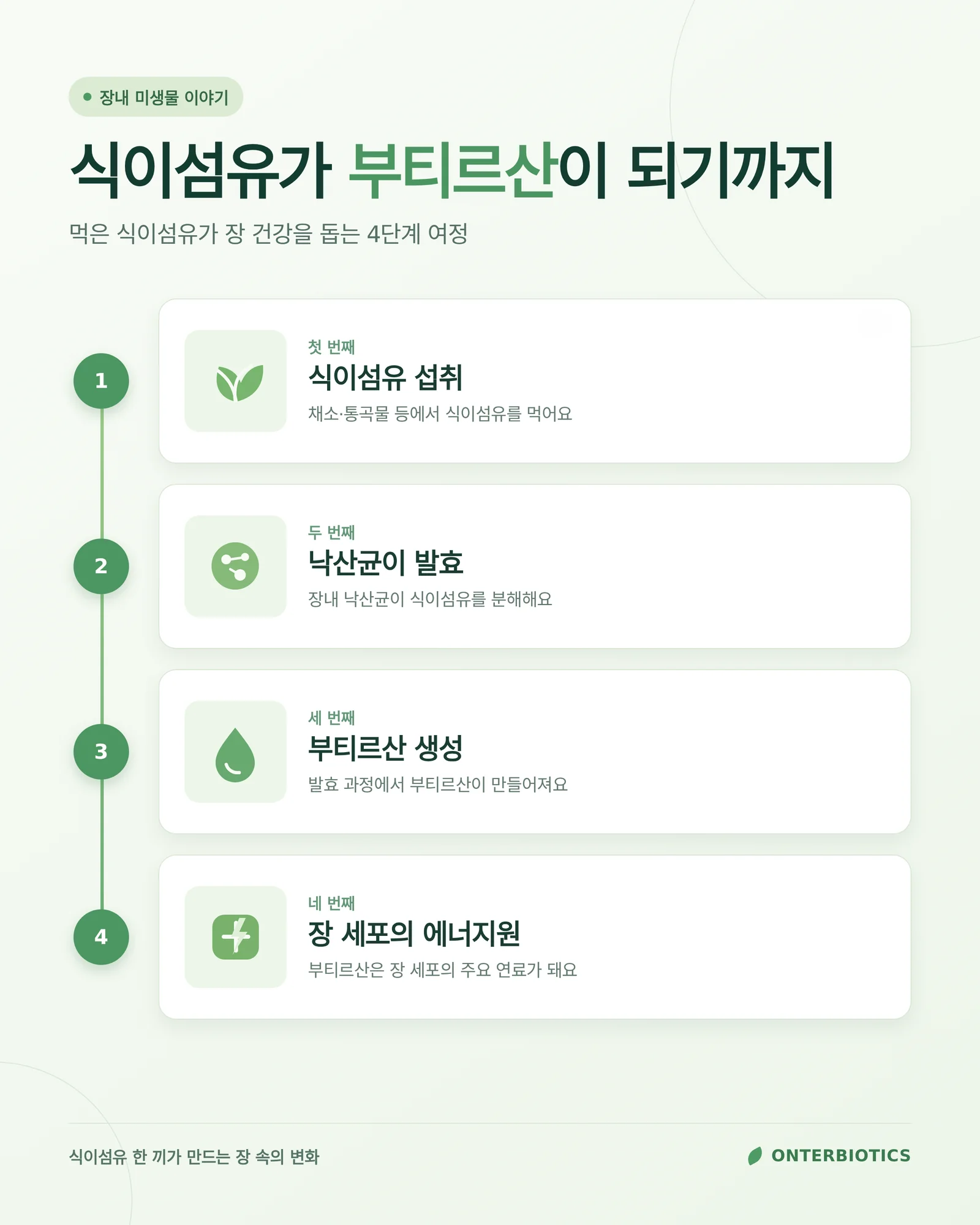 식이섬유 다이어트 관련 이미지