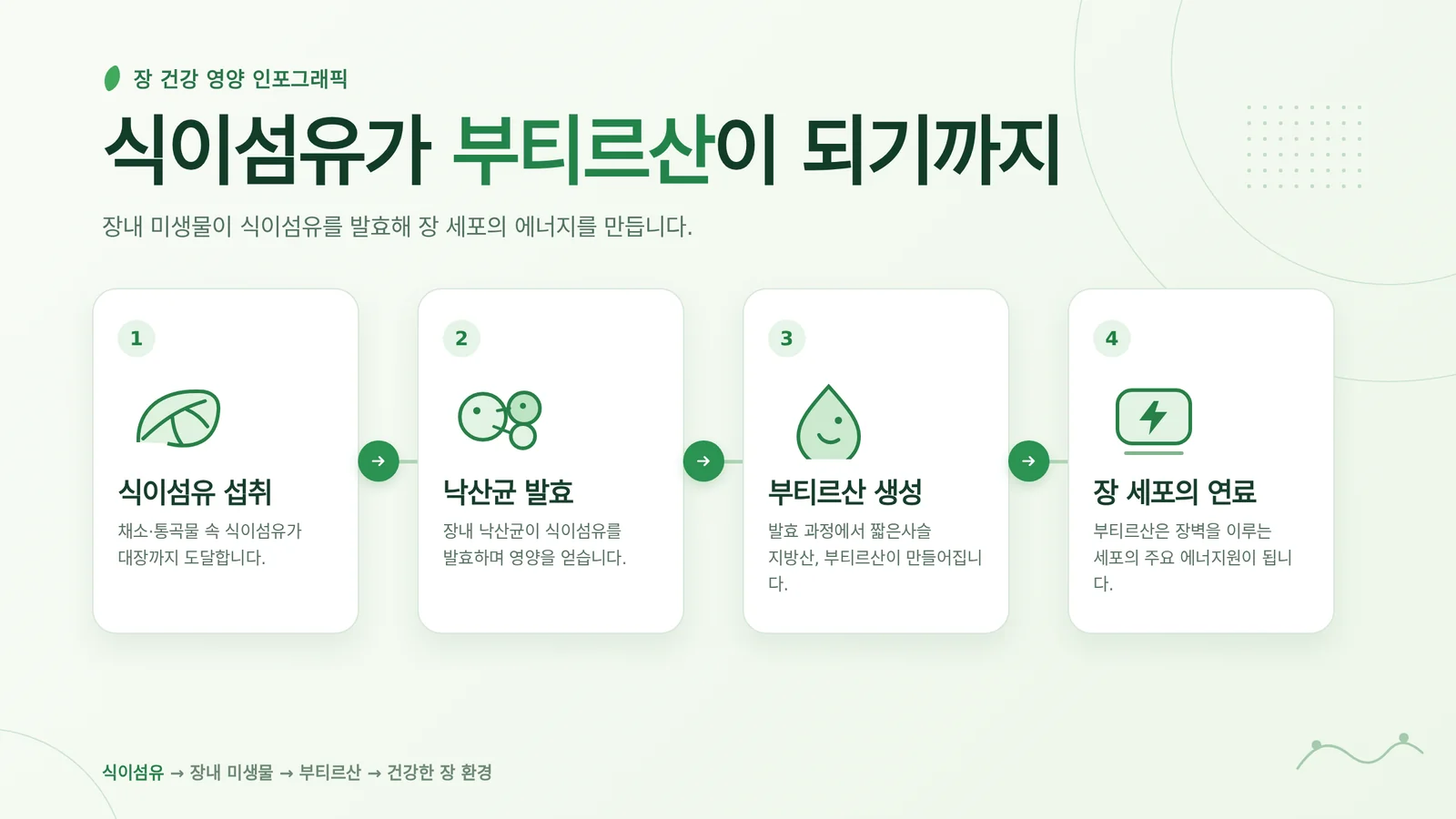 통곡물 식이섬유 관련 이미지
